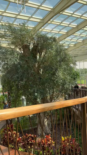 mK4OJG TiAuBf hd.jpg