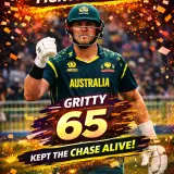 Australia vs Zimbabwe (5)