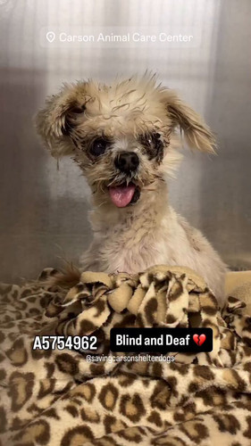 ngjI cDGR9scNV32.jpg