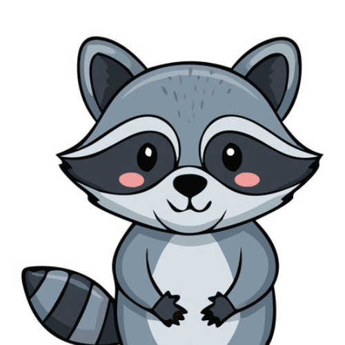 raccoon.png
