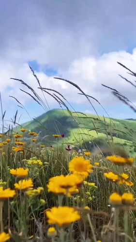 TR9K9la4 f8RnPXD.jpg