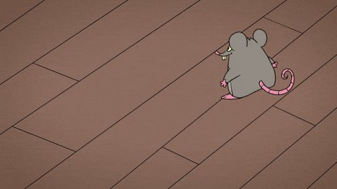 HBI5rwfbQAALC8M.jpg