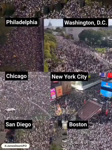 WWToP88cjqZF bZJ.jpg