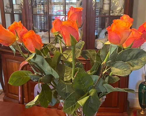 MES ROSES TRES BELLES.jpg