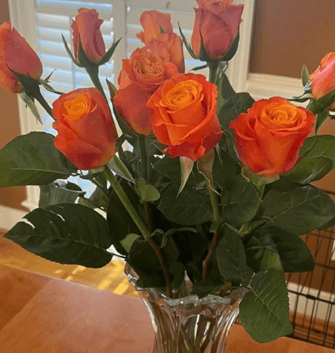 MES ROSES.gif
