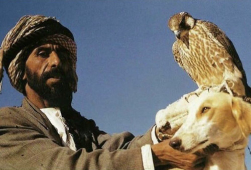 HBJeWNFakAEXkia.jpg