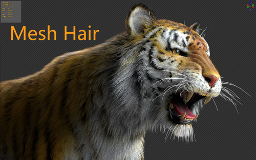 head.jpg
