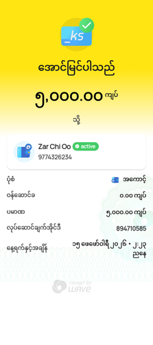 wavepay 894710585 1771142027367.png