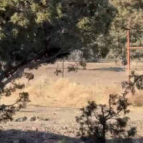 PsJ VlXKTGOXN1wZ.jpg