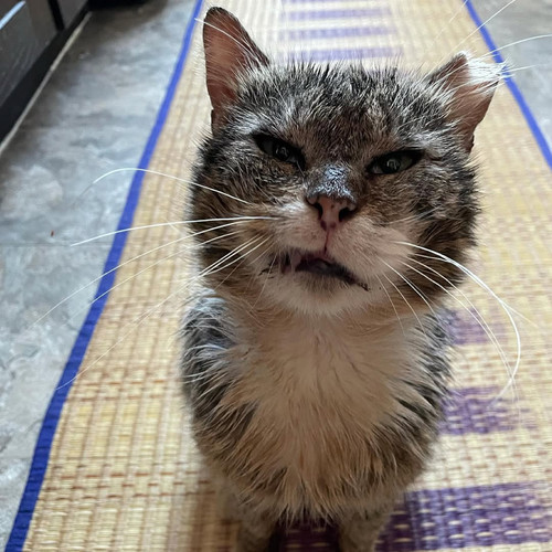 HBIp8EbWUAE YJt?format=jpg.jpg