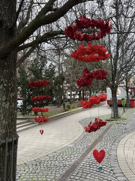 634149557 1300600198544673 4805604625799416207 n.jpg?stp=cp6 dst jpg s590x590 tt6& nc cat=109&ccb=1 .jpg