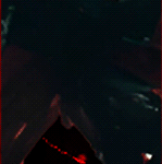 b2 (1).gif