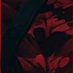 b3 (1).gif