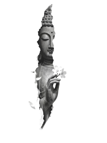 2026021516285012.png