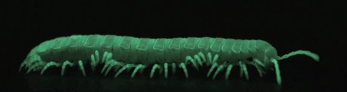 image 2026 02 15 020949320.png