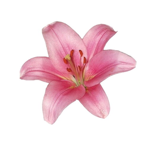 Untitled617 20260215171443.png