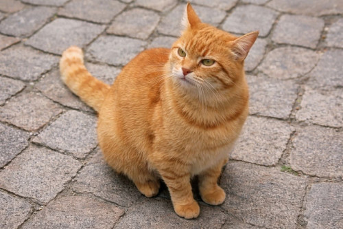 634044684 1466411991512206 7677831655368531588 n.jpg