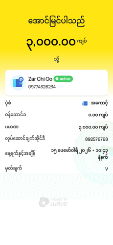 wavepay 892576768 1771128831966.png