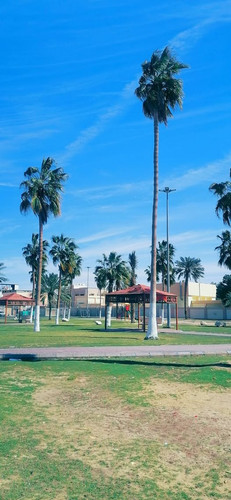 634984102 1356436273188337 7942526797839922897 n.jpg?stp=dst jpg p526x296 tt6& nc cat=102&ccb=1 7& n.jpg