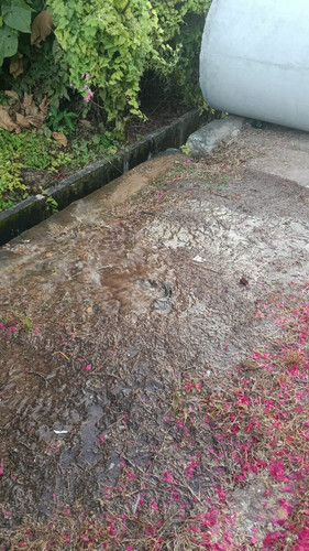 WhatsApp Image 2026 02 16 at 9.37.42 AM.jpg