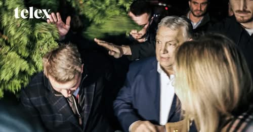 9544988834993539269?url=https%3A%2F%2Fassets.telex.hu%2Fimages%2F20260210%2F1770763381 temp d2bqiufk.jpg