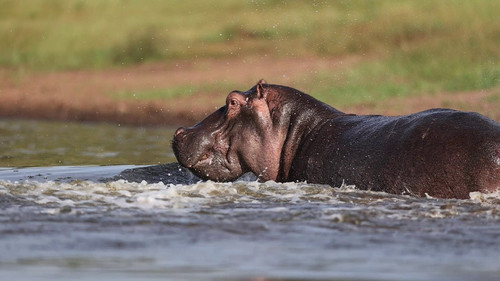 NAxrVs6x7I n08 Z.jpg