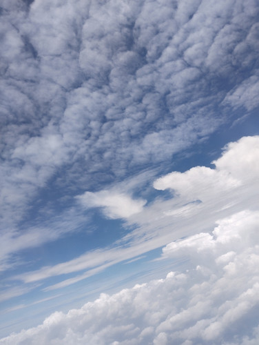 IMG 20260129 123356.jpg