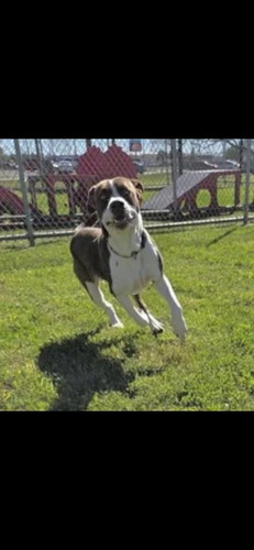 HBECe cXQAE3rMG?format=jpg.jpg