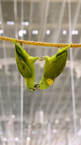 rZk0z0 C9q2bZkTd.jpg