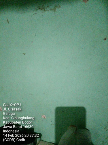 codb.jpg