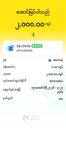wavepay 897645804 1771160267512.png