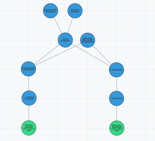 schema.jpg