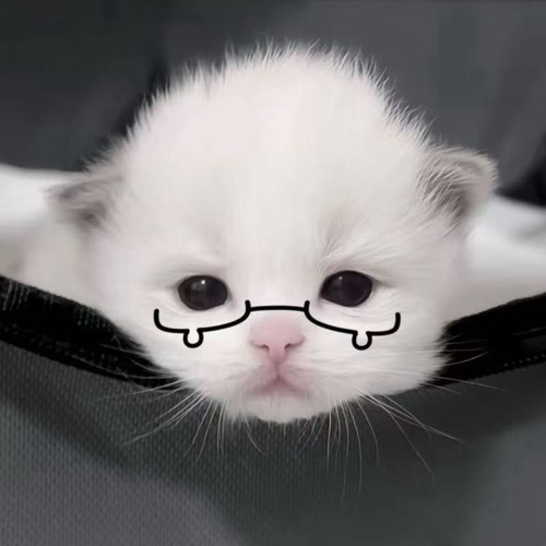 1000128011.jpg