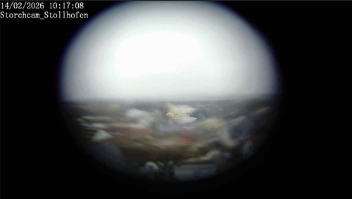 MWSnap824.jpg