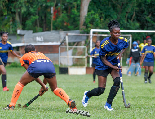 IMG 20260211 WA0042.jpg