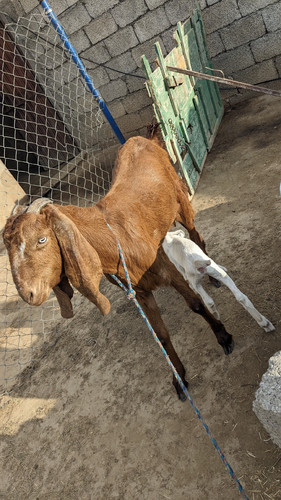 scaled 1000235634.jpg