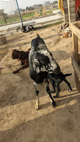 scaled 1000235639.jpg