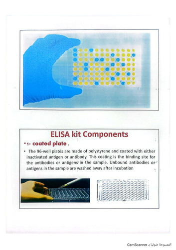 IMG 20260215 201613 945.jpg