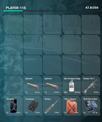 FiveM GTAProcess DNOVBrLaQJ.png
