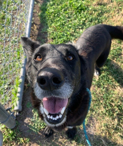 HBH Vy akAQnBWG?format=jpg.jpg