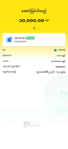 wavepay 898282001 1771163471623.png