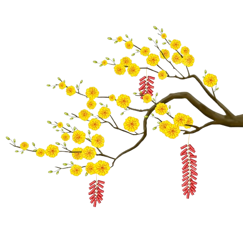 7e7d453a1edf49bb67cdce654525d573 removebg preview.png