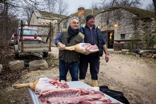 634872800 1345610920927827 1636285304588960726 n.jpg?stp=dst jpg s590x590 tt6& nc cat=106&ccb=1 7& n.jpg