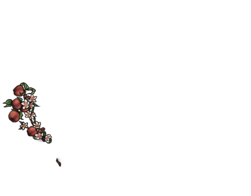 jolly.png