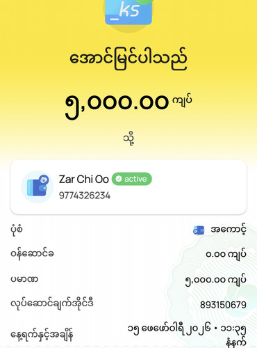 wavepay 893150679 1771131924894.jpg