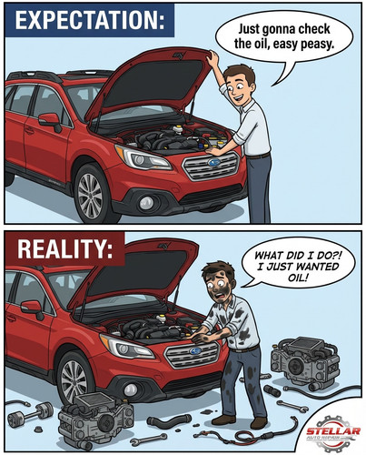 445ae76a6f48.jpg