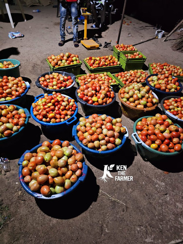 HBMBkm bsAAKyYZ?format=jpg.jpg