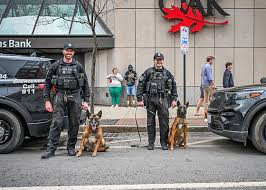 Trusted K9 Security Manchester Services for Businesses & Events.jpg