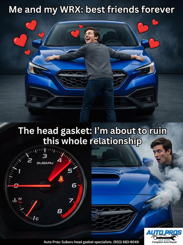 36fb7acbcceb.jpg