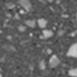 t 02.1